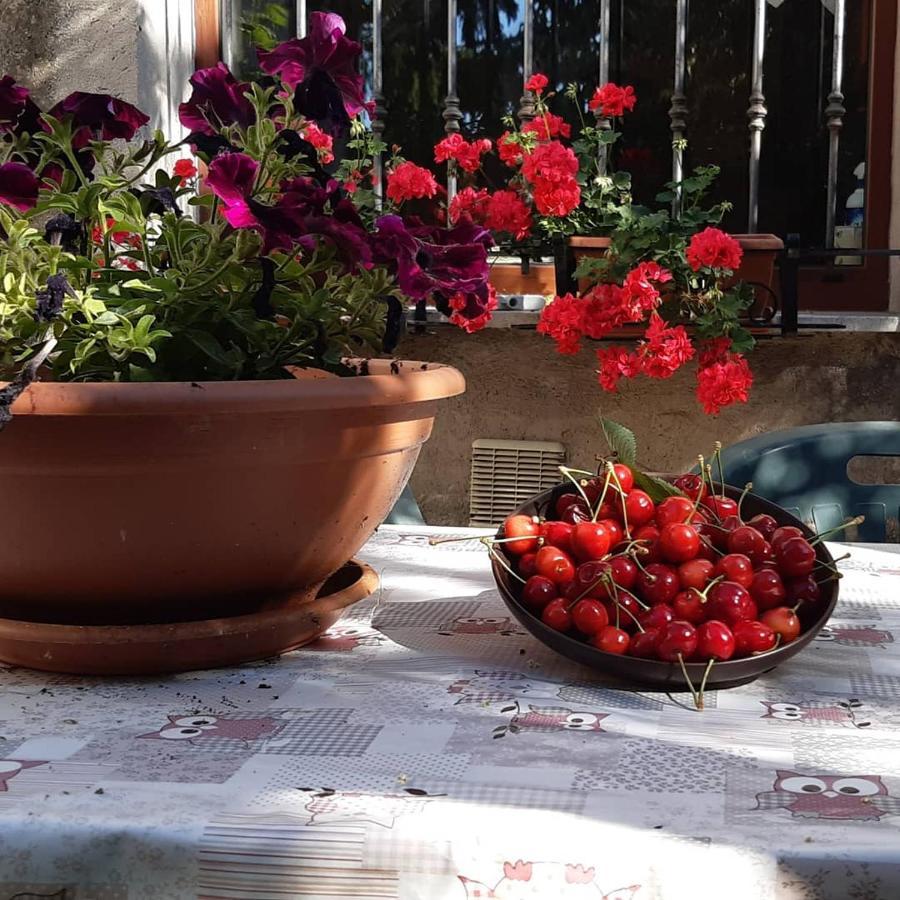 B&B Mamma Ari Φέρμο Εξωτερικό φωτογραφία